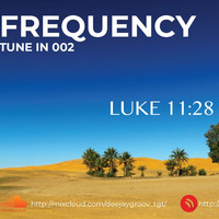 FREQUENCY TUNE IN 002 by THE FREQUENCY
