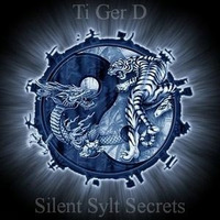 Silent Sylt Secrets by Ti Ger D