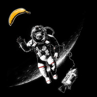 PermasmokeSoundLab - The Spacemonkey Goes Bananas by PermasmokeSoundLab