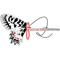La Mecánica del Caracol - Radio Euskadi - Programa de seguimiento de mariposas - 28-VII-2011 by ZERYNTHIA