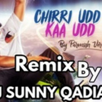 CHIRI UDD KA UDD REMIX BY DJ SUNNY QADIAN by Music History Records
