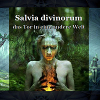 KlarTraum - Salvia-Bibel 2 - Das Tor in eine andere Welt by Kess Zerogravity