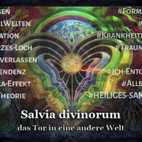 KlarTraum - Salvia-Bibel 6 final - Das Tor in eine andere Welt by Kess Zerogravity