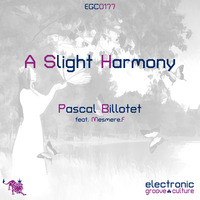 Pascal Billotet - A Slight  Harmony by electronic groove culture