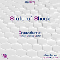 Grooveterror - State of shock by electronic groove culture