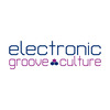 electronic groove culture