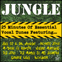 Mixtape Jungle by DJ Mikey Matala