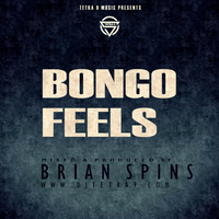 Bongo Feels by Tetra 9 Music