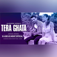 Tera Ghata (Official Remake)-DJ Asb &amp; DJ Mohit Official by DJ Mohit Official