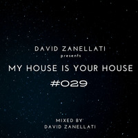 My House Is Your House #029 by David Zanellati
