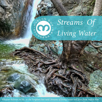 Muflon Dub Soundsystem -Streams Of Living Water (preview) by Dubophonic Records