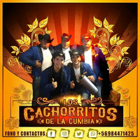 Los Cachorritos de la Cumbia - Mix Romántico 2019 by El Género Ranchero