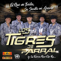 Los Tigres de Parral - Sigo Siendo El Rey (2019) by El Género Ranchero