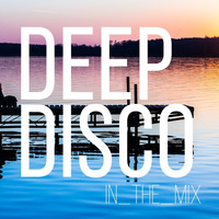 Deeply House Mix I Deep Disco Music #14 I Best Of Deep House Vocals I Move by Deep Disco Music