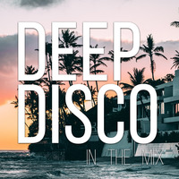 Lounge House I Deep Disco Music #18 I Best Of Deep House Vocals I Relax by Deep Disco Music