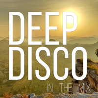 Happy Day I Deep Disco Music #27 I Best Of Deep House Vocals by Deep Disco Music