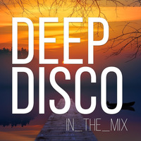 Study Beats I Deep Disco Music #28 I Best Of Deep House Vocals by Deep Disco Music