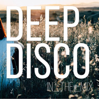 Relax House I Focus Music I Study Beats I Deep Disco Music #56 I Best Of Deep House Vocals by Deep Disco Music