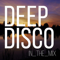 Relax House I Focus Music I Study Beats I Deep Disco Music #64 I Best Of Deep House Vocals by Deep Disco Music