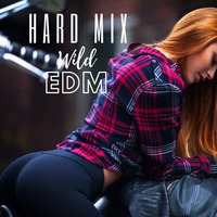 Hard EDM Party by Mile Master