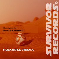 Droids for Breakfast (Numatra Remix - Promo) by Chris Lyons DJ