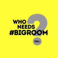 Best of BigRoom 2021 - Special Episode by EDM Lab
