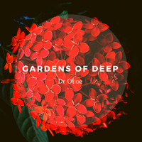 Gardens Of Deep #4th Apple Guest Mix By DR Olive by Gardens Of Deep