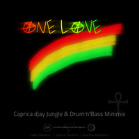 ONE LOVE mini mix by Caprica djay by Caprica