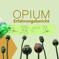 Opium Erfahrungsbericht in Kalifornien by Freiheit