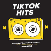 TikTok Hits &amp; Amapiano - DJ Dranix by DJ Dranix