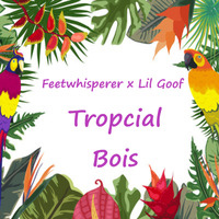 Feetwhisperer x Lil Goof - Tropical Bois by EndPirat