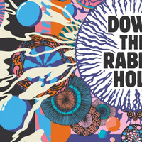 Down The Rabbit Hole by Michael Wilson