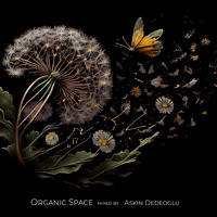 Askin Dedeoglu - Organic Space by Askin Dedeoglu