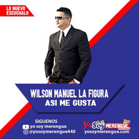 Wilson Manuel La Figura- Asi Me Gusta by Yo Soy Merengue