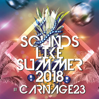 dj carnage23 - sounds like summer 2018 by Dj Carnage23