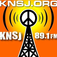 KNSJ Women's Radio Hour 6/12/19 – Kyle Bukowski, MD and OBGYN, talks about STIs by Women's Radio Hour KNSJ San Diego