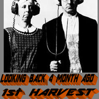 LOOKING BACK 4 MONTH AGO 1ERST HARVEST by IbzSoundFighters