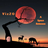 VizZOs A Space Between 65  by VizZO