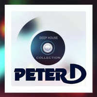 Peter D   pres.    Militia Underground web radio  Specjal mix by Peter D.