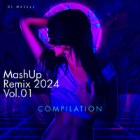 MashUp EDM ( Part-01 )( 2024 ) by MkSkyy