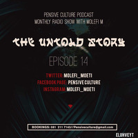 The Untold Story Episode 14 by Pensive Culture