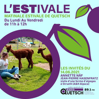 L'ESTivale #07 - Visite chez les Alpagas du Sundgau - Annette Näf et Jean-Pierre Hasenfratz, A&amp;H Alpaca Strueth by Radio Quetsch