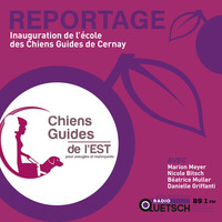 Chien Guide, toute une aventure - Inauguration de l'école de Cernay by Radio Quetsch