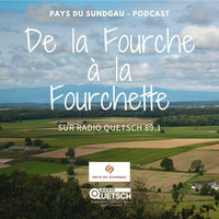 De la Fourche À la Fourchette #01 - Le Magasin de Prodcteurs &quot;Les Champs de l'Ill&quot; by Radio Quetsch