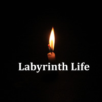 Tyranny Of Good Will  by Labyrinth Life