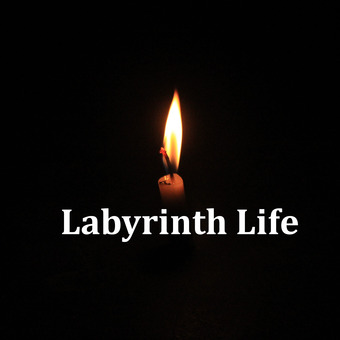 Labyrinth Life