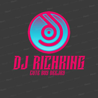 Dj Richking Bashment Riddim mix by Dj Richking