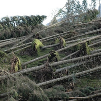 Radio Scarp - Disastri ambientali: quel è la risposta delle scienze sociali? by Luca Cereda