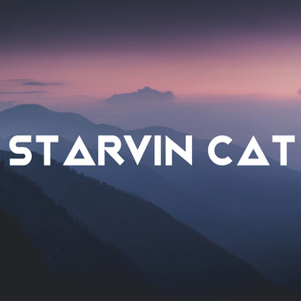 STARVIN CAT