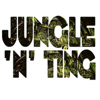 DJ SPARKS &amp; KJ - JUNGLE MIX 90's N Ting by Bass Flow Radio